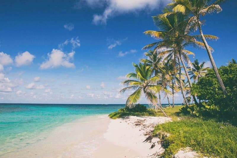 Caribbean Citizenship by Investment