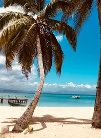 Caribbean Citizenship by Investment